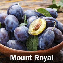 Load image into Gallery viewer, 5-in-1 Plum Tree