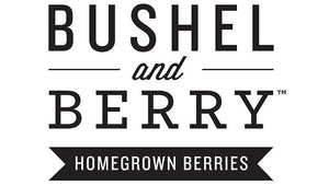 Bushel and Berry® Peach Sorbet™ Blueberry Bush