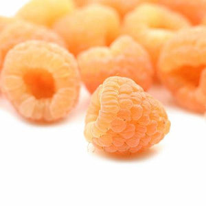 Golden Raspberry Plant - USDA Organic