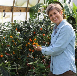 Nagami Kumquat Tree