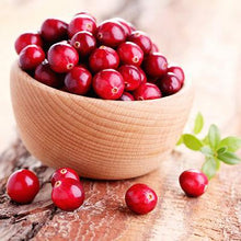 Load image into Gallery viewer, Stevens Cranberry Plant - USDA Organic
