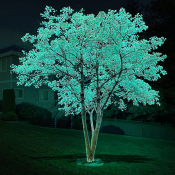 DayGlo (Glow in the Dark) Tree